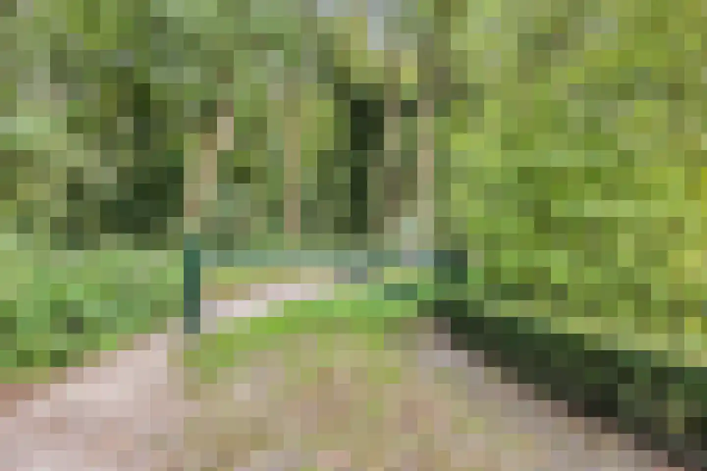 Donselaer 17 Oostvoorne thumbnail 51