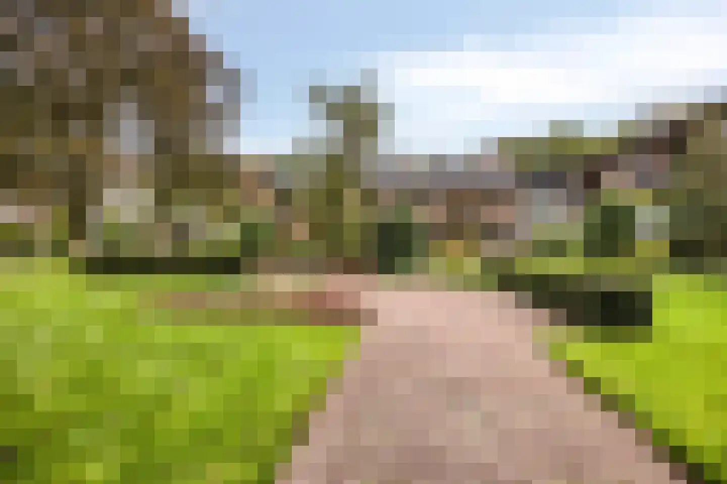 Donselaer 17 Oostvoorne thumbnail 6