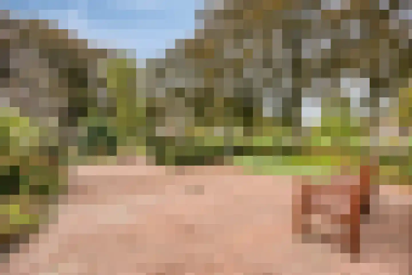 Donselaer 17 Oostvoorne thumbnail 8