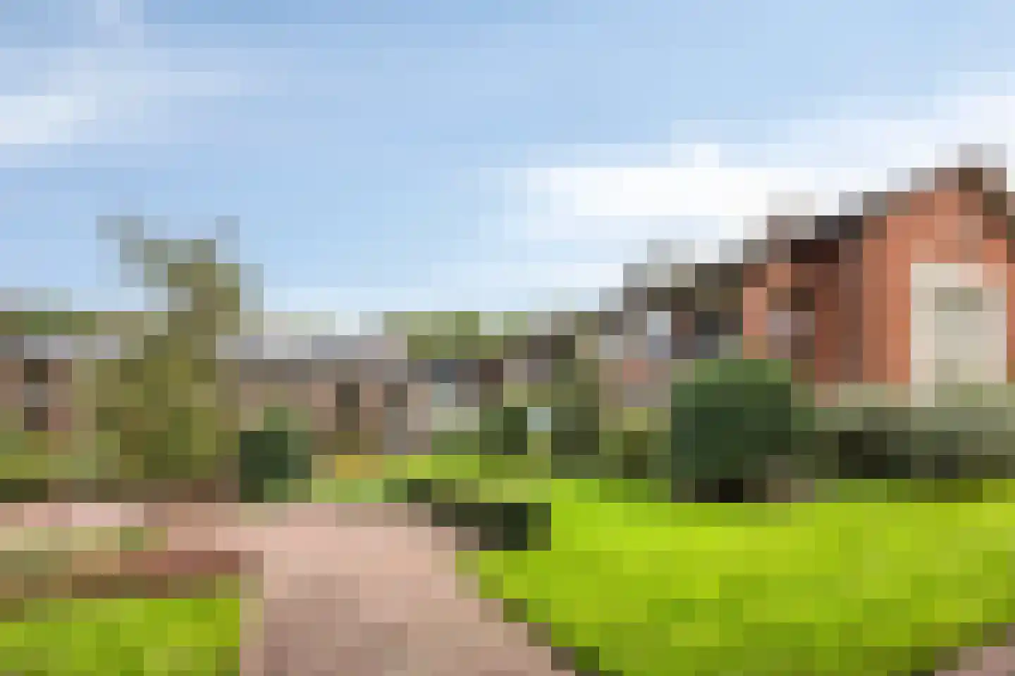 Donselaer 17 Oostvoorne thumbnail 9