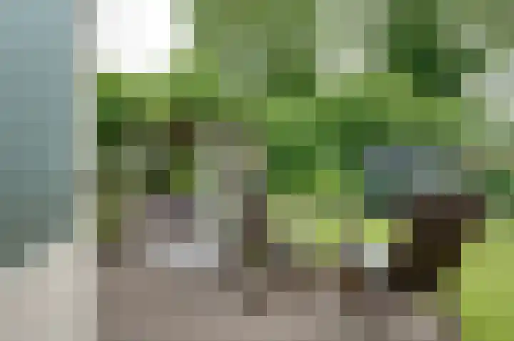 Donstraat 20 Assen thumbnail 16