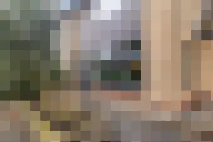 Donstraat 20 Assen thumbnail 27