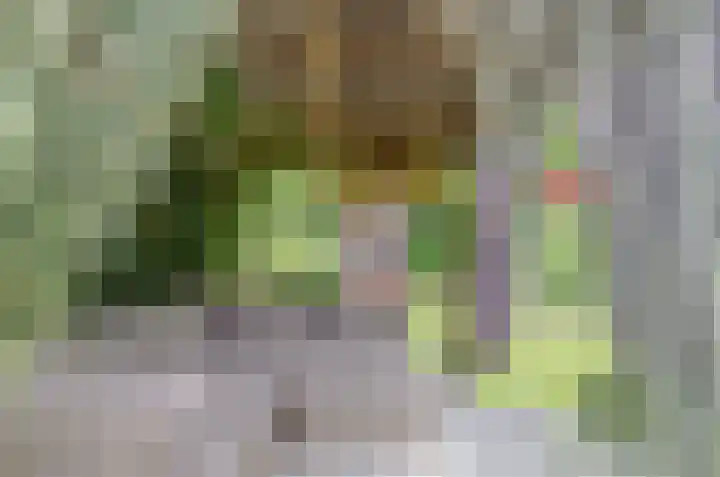 Donstraat 20 Assen thumbnail 33