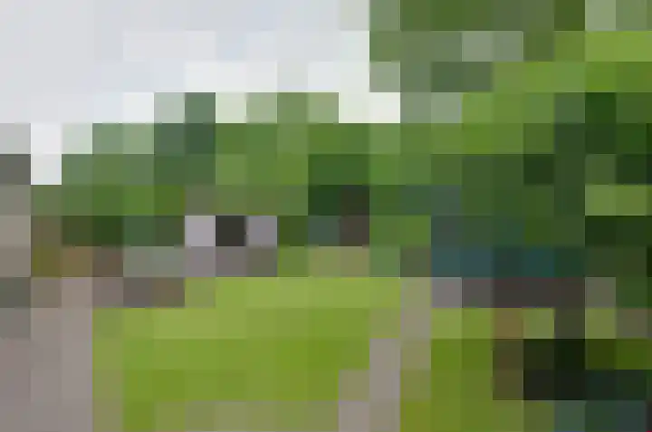 Donstraat 20 Assen thumbnail 34