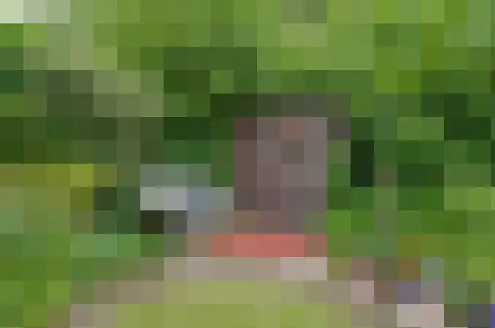 Donstraat 20 Assen thumbnail 35