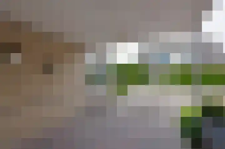 Donstraat 20 Assen thumbnail 38