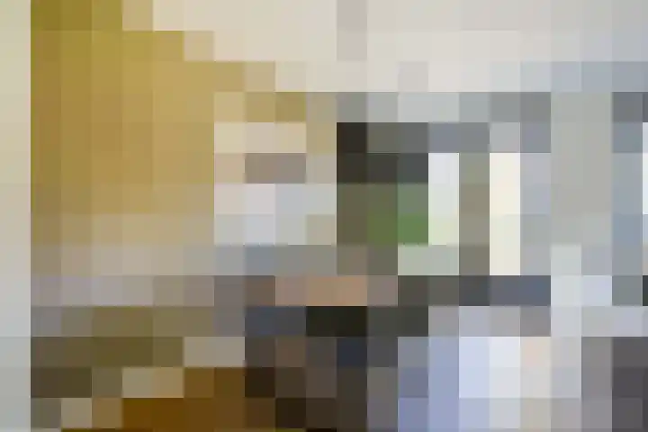 Donsvlinder 17 Utrecht thumbnail 10