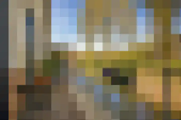 Donsvlinder 17 Utrecht thumbnail 11