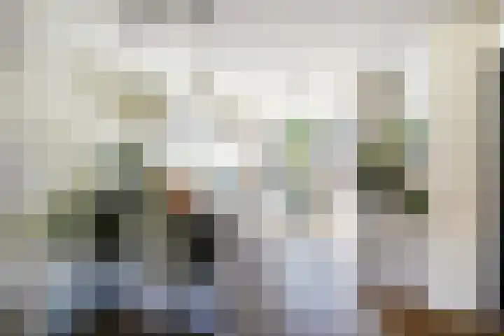 Donsvlinder 17 Utrecht thumbnail 12