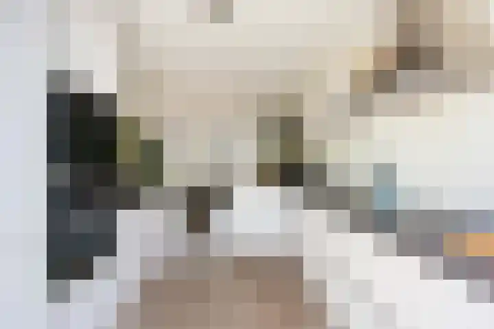 Donsvlinder 17 Utrecht thumbnail 13