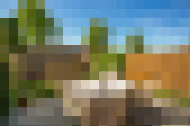 Donsvlinder 17 Utrecht thumbnail 14