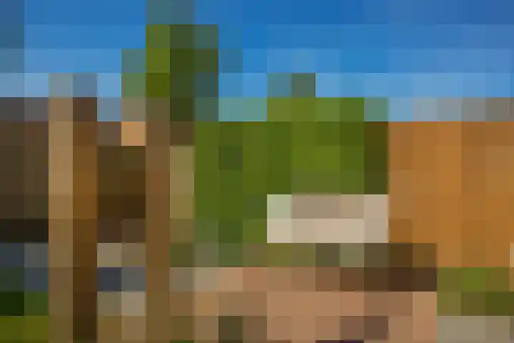Donsvlinder 17 Utrecht thumbnail 15
