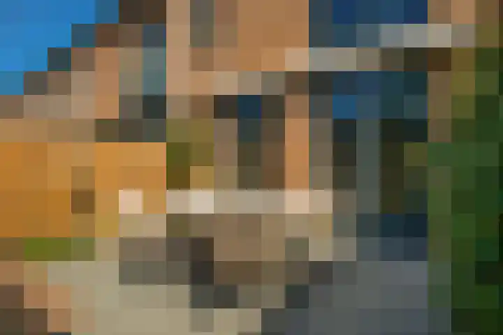 Donsvlinder 17 Utrecht thumbnail 16