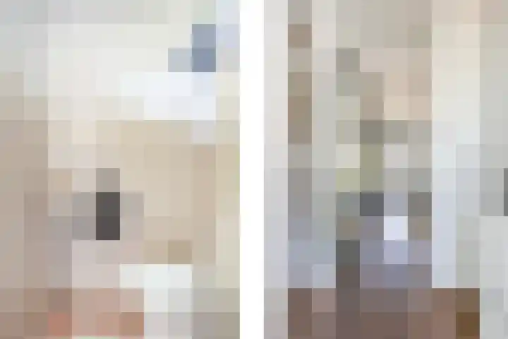 Donsvlinder 17 Utrecht thumbnail 17