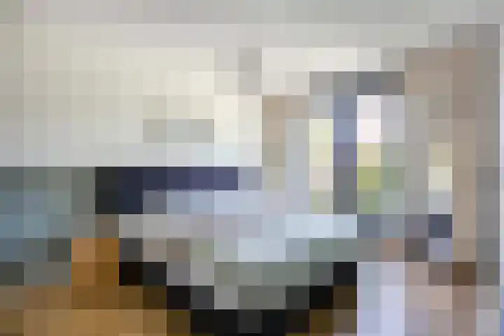 Donsvlinder 17 Utrecht thumbnail 19
