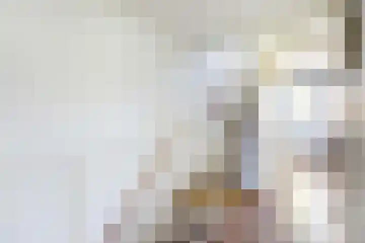 Donsvlinder 17 Utrecht thumbnail 20