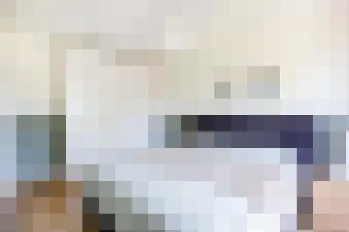 Donsvlinder 17 Utrecht thumbnail 21