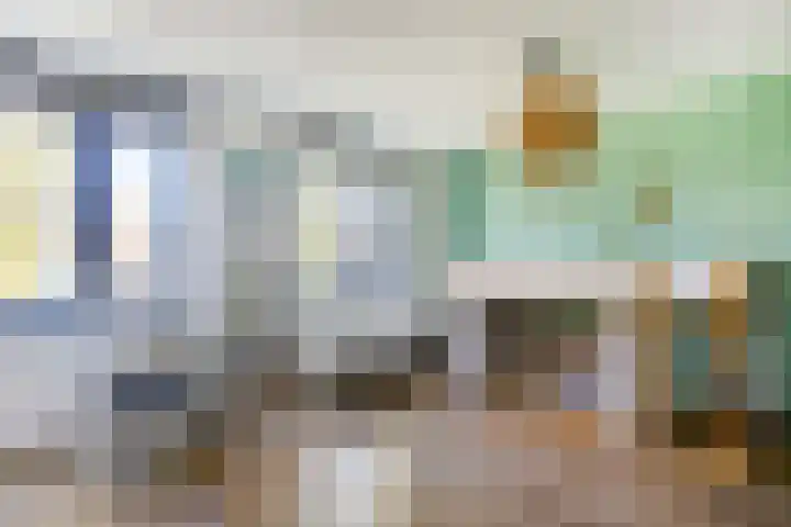 Donsvlinder 17 Utrecht thumbnail 22