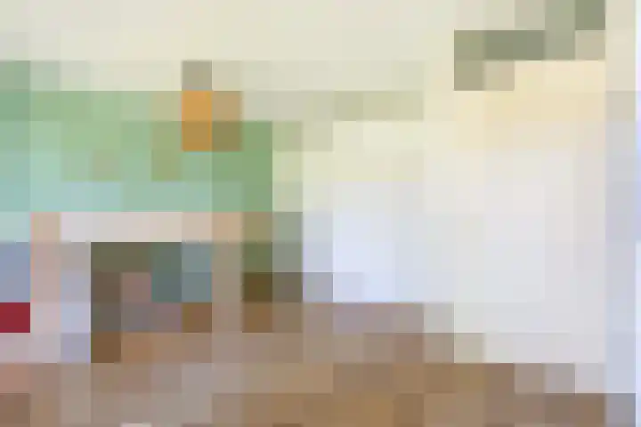 Donsvlinder 17 Utrecht thumbnail 24