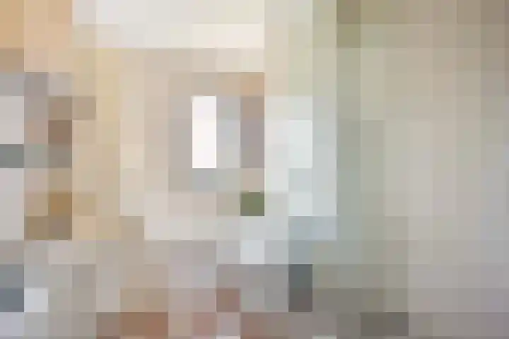 Donsvlinder 17 Utrecht thumbnail 25