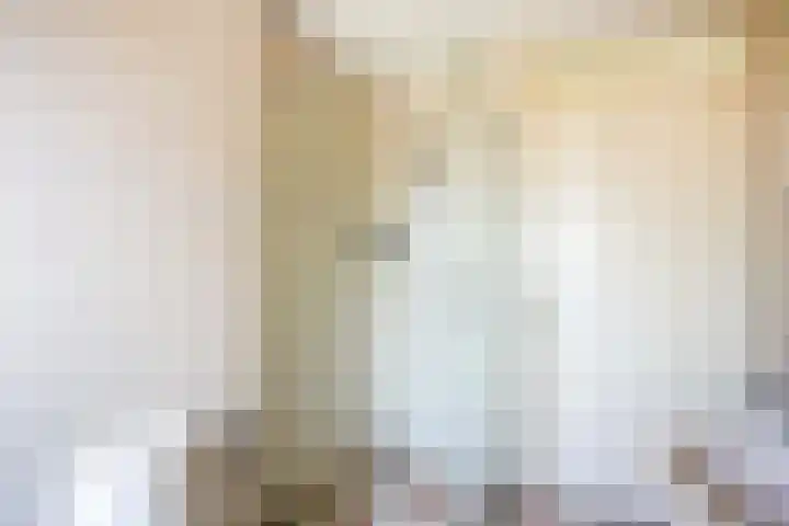 Donsvlinder 17 Utrecht thumbnail 26