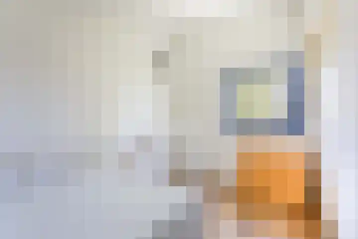Donsvlinder 17 Utrecht thumbnail 27