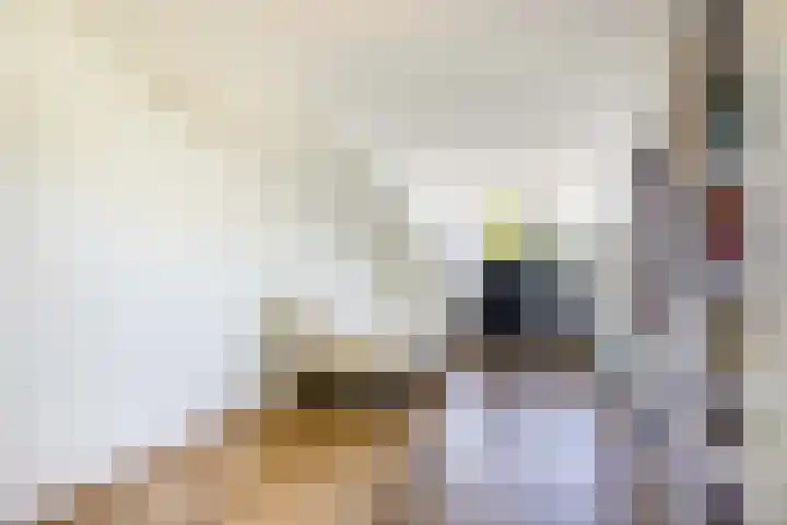 Donsvlinder 17 Utrecht thumbnail 28