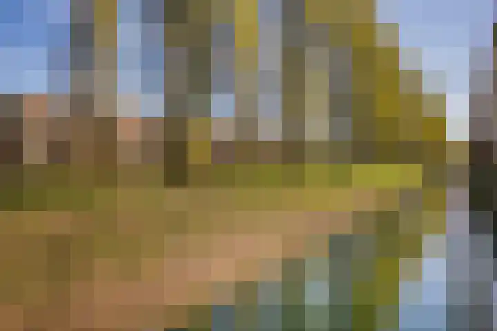 Donsvlinder 17 Utrecht thumbnail 32