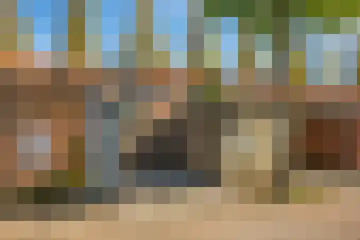 Donsvlinder 17 Utrecht thumbnail 33