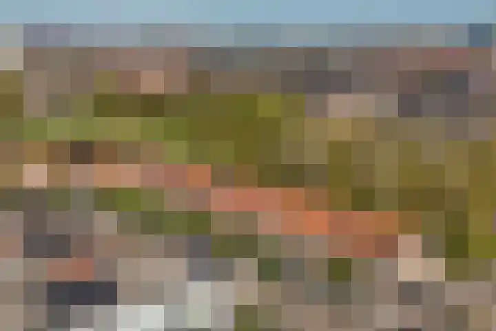 Donsvlinder 17 Utrecht thumbnail 34