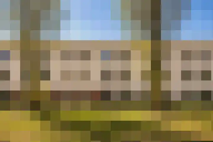 Donsvlinder 17 Utrecht thumbnail 35