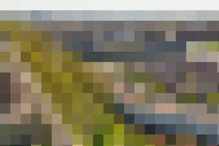 Donsvlinder 17 Utrecht thumbnail 37