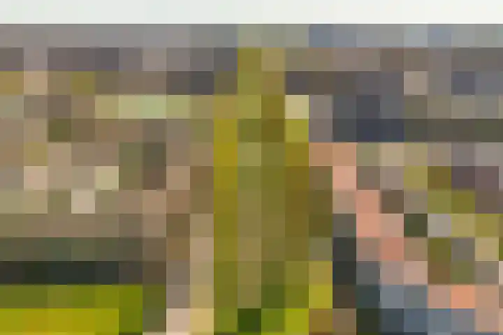 Donsvlinder 17 Utrecht thumbnail 38