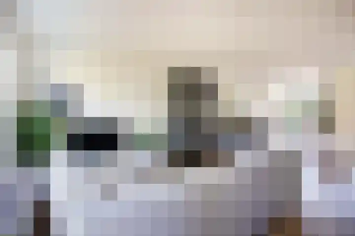 Donsvlinder 17 Utrecht thumbnail 4