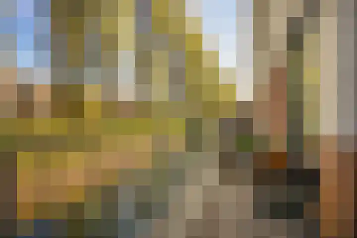 Donsvlinder 17 Utrecht thumbnail 6
