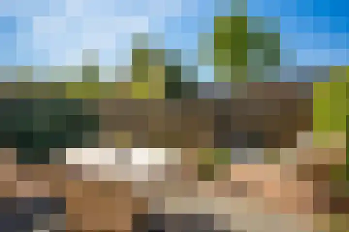 Donsvlinder 17 Utrecht thumbnail 7
