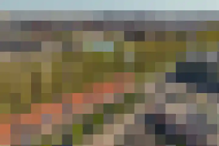 Donsvlinder 17 Utrecht thumbnail 8