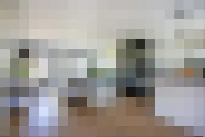 Donsvlinder 17 Utrecht thumbnail 9