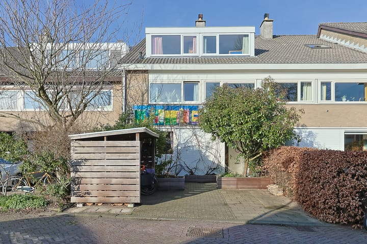 Donsvlinder 50 in Leiden