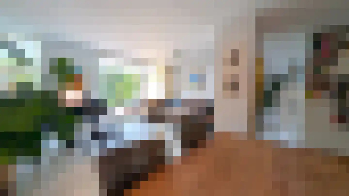 Donsvlinder 50 Leiden thumbnail 10