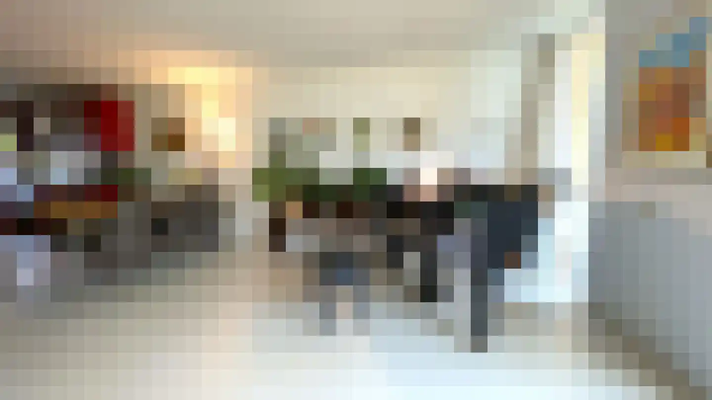 Donsvlinder 50 Leiden thumbnail 11