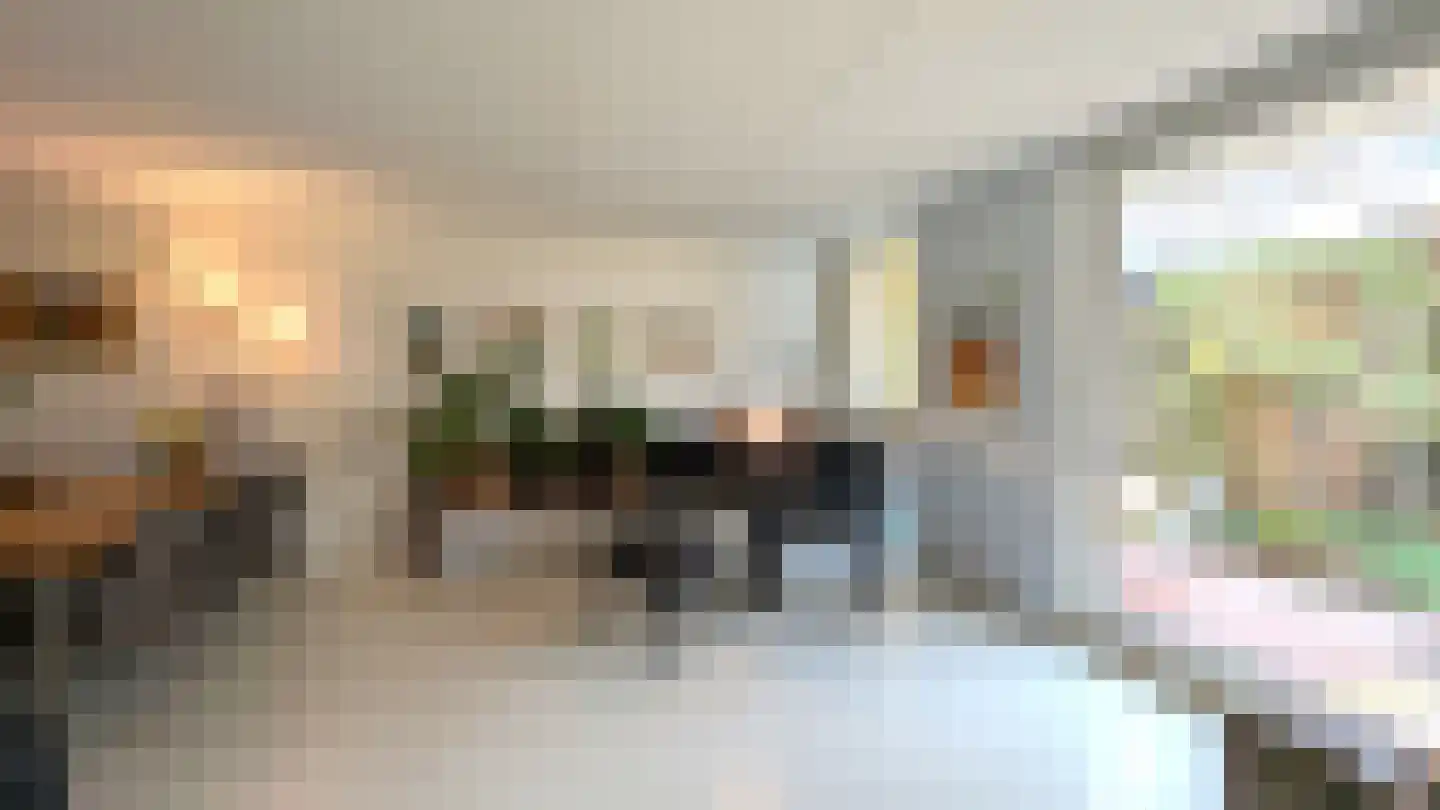Donsvlinder 50 Leiden thumbnail 12