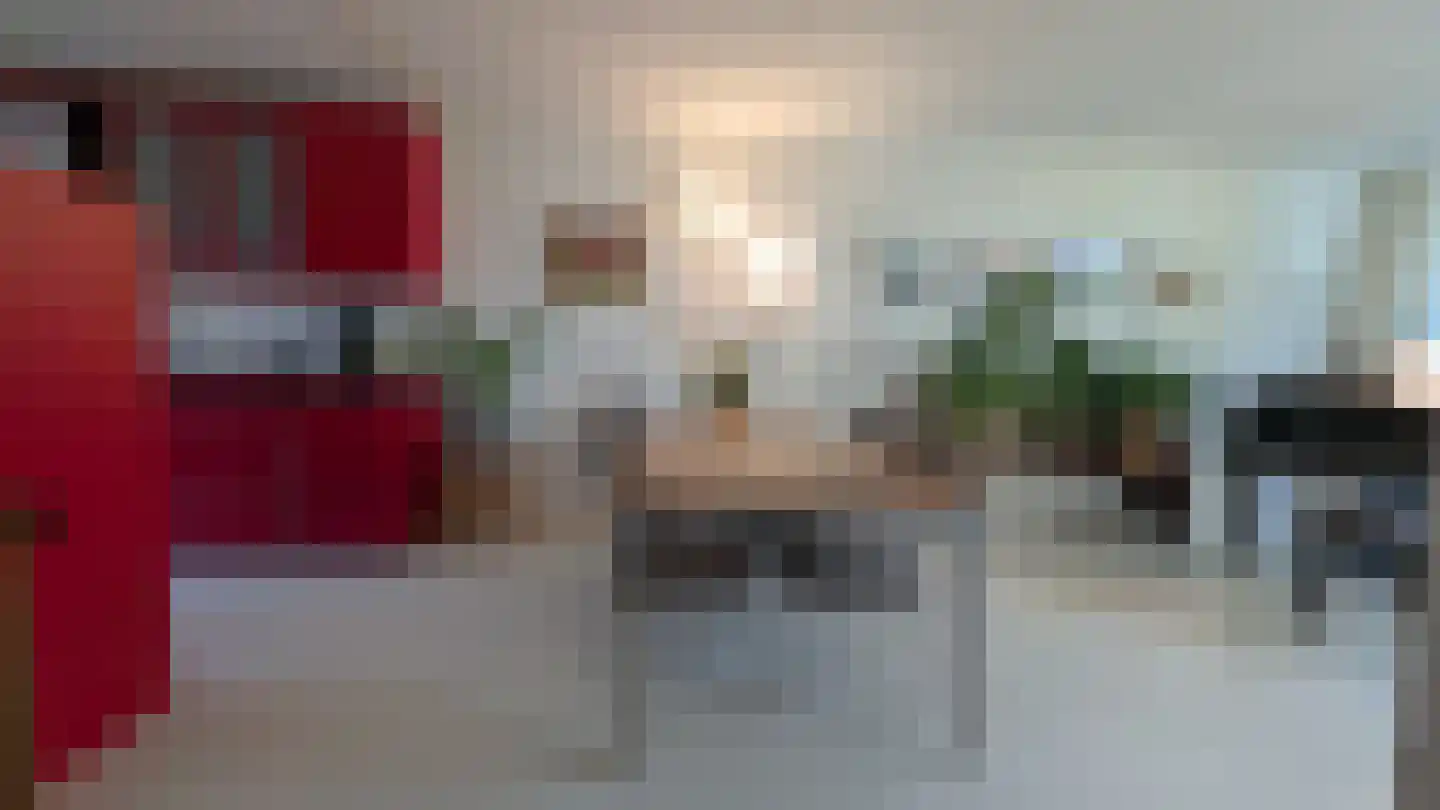 Donsvlinder 50 Leiden thumbnail 13