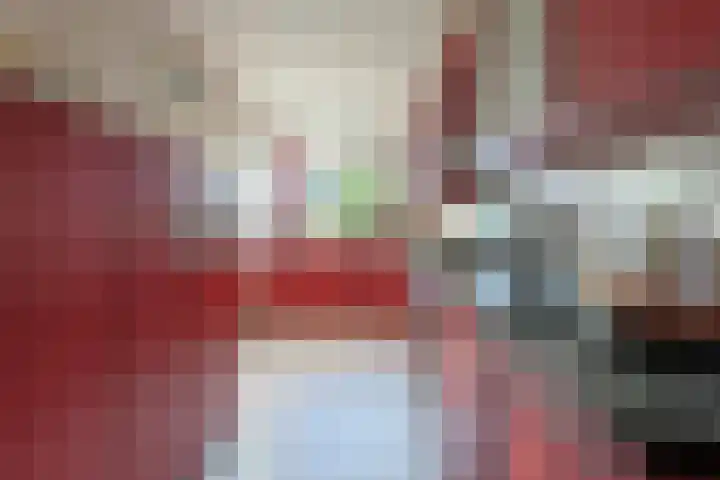 Donsvlinder 50 Leiden thumbnail 13