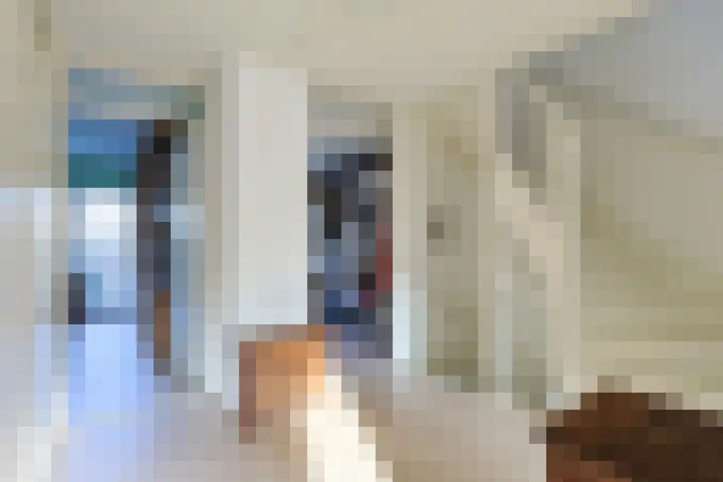 Donsvlinder 50 Leiden thumbnail 16