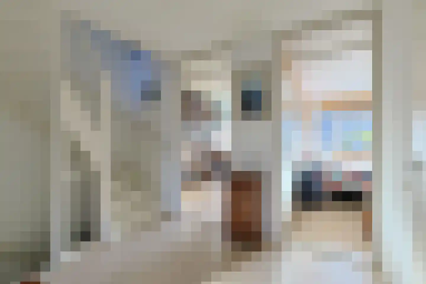 Donsvlinder 50 Leiden thumbnail 17