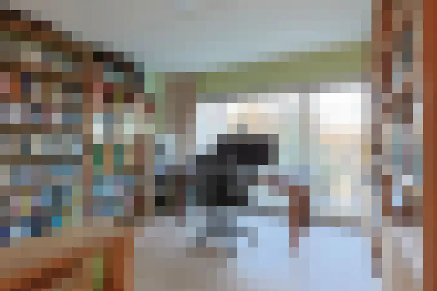 Donsvlinder 50 Leiden thumbnail 21
