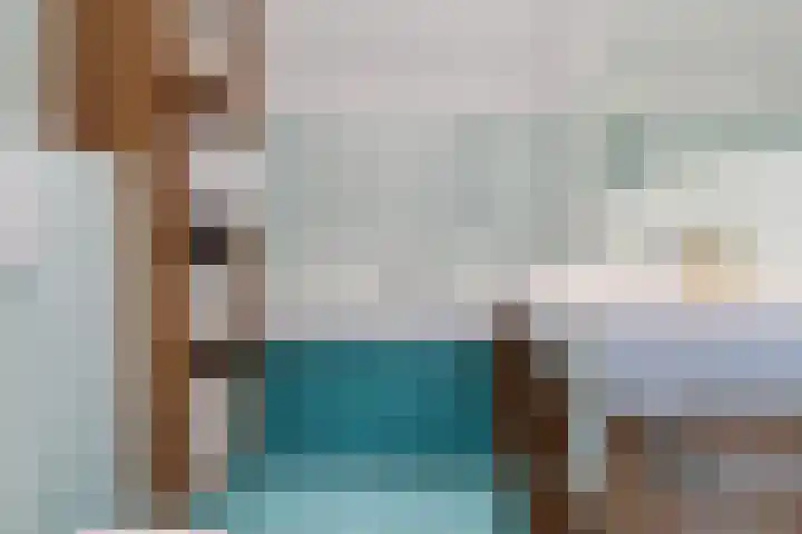 Donsvlinder 50 Leiden thumbnail 21