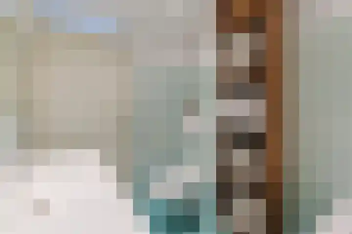 Donsvlinder 50 Leiden thumbnail 22