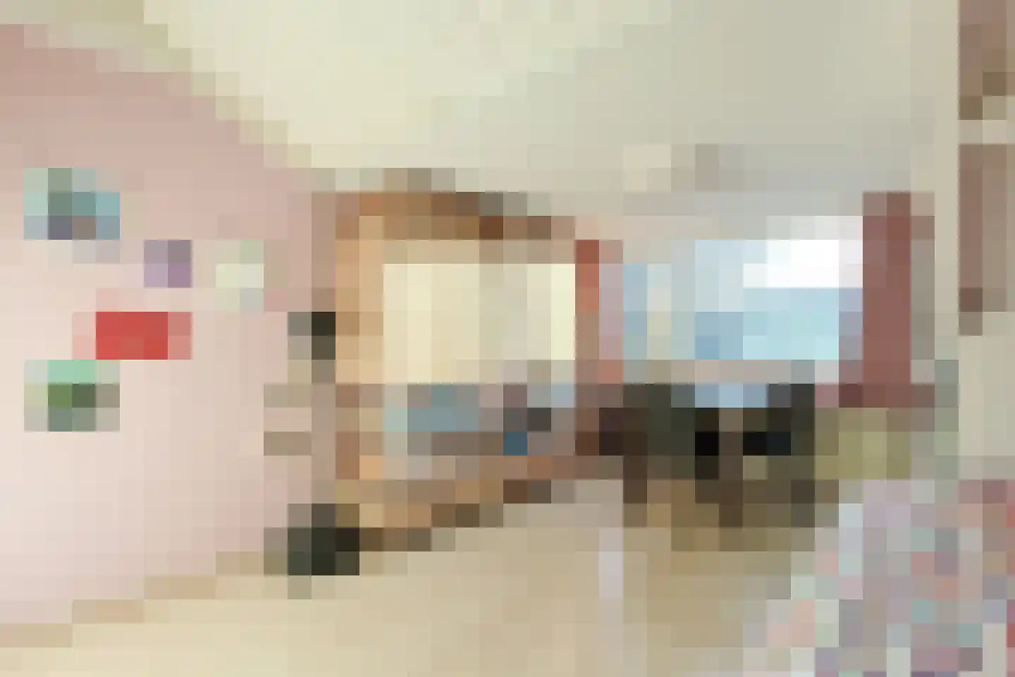 Donsvlinder 50 Leiden thumbnail 26